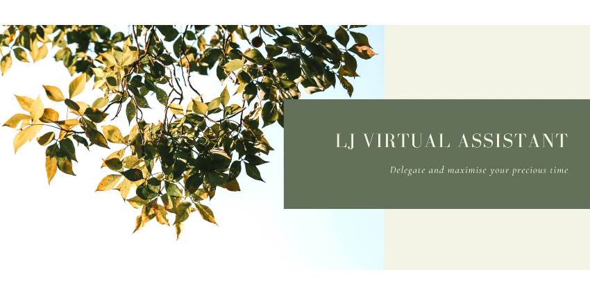 LJ Virtual Assistant