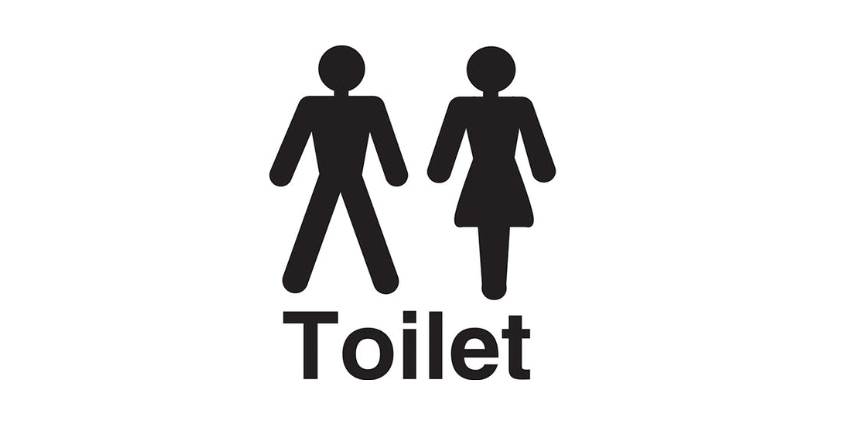 Public Toilets - Visitor Centre Toilet Block, Haughton Country Park