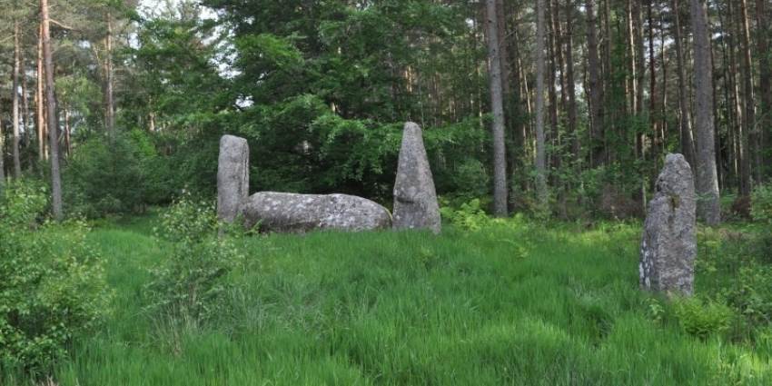 Stone Circle - Cothiemuir Wood