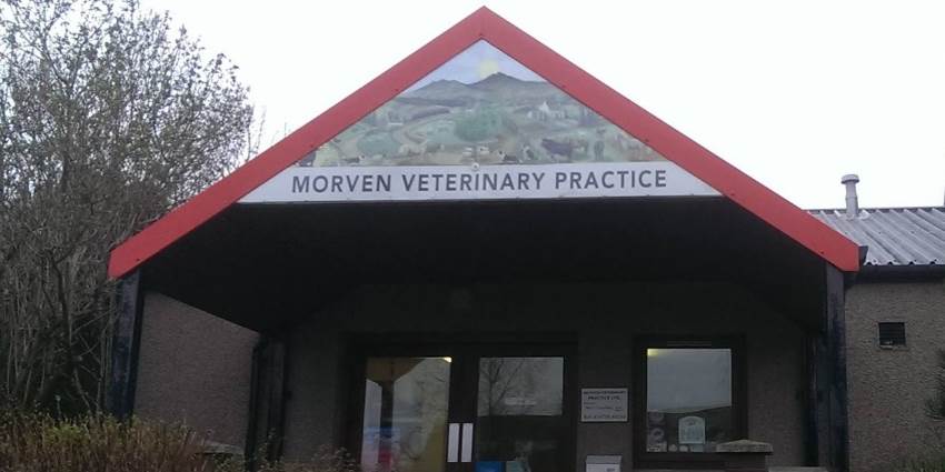 Morven Veterinary Practice