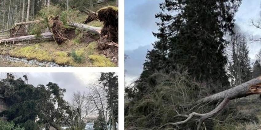 Petition calls for reliable communications for all