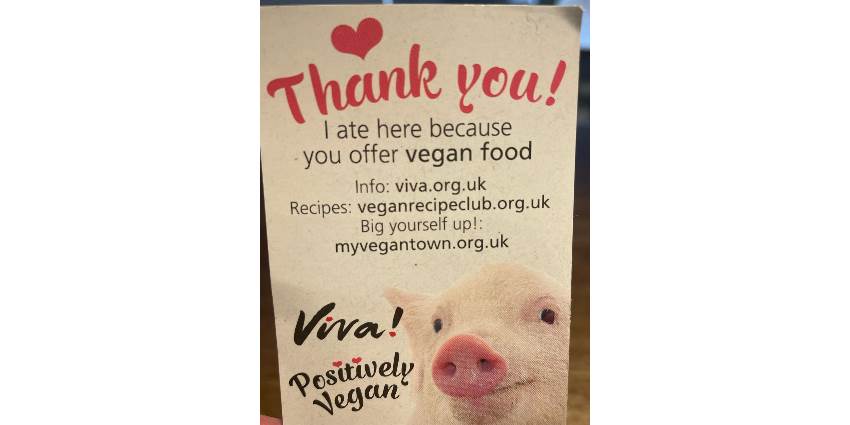 Allergies...diet preferences...No problem!