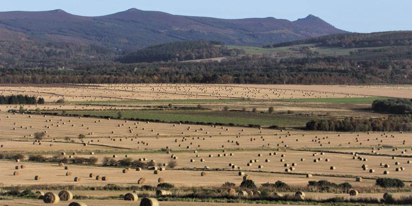 Enjoy Alford and Donside